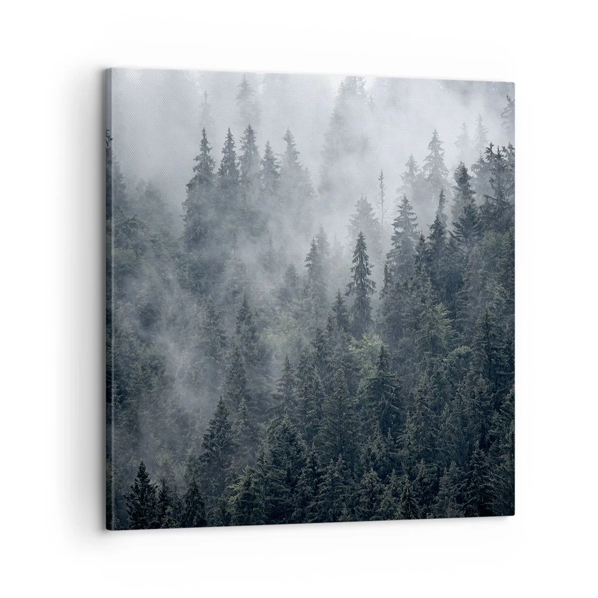 Impression sur toile - Image sur toile - Aube de la forêt - 60x60 cm