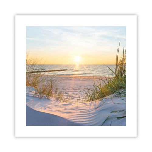 Affiche - Poster - Le bruit de la mer, le chant des oiseaux, une plage sauvage parmi les herbes… - 40x40 cm