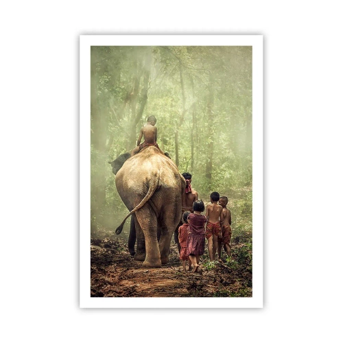 Affiche - Poster - Nouveau livre de la jungle - 61x91 cm