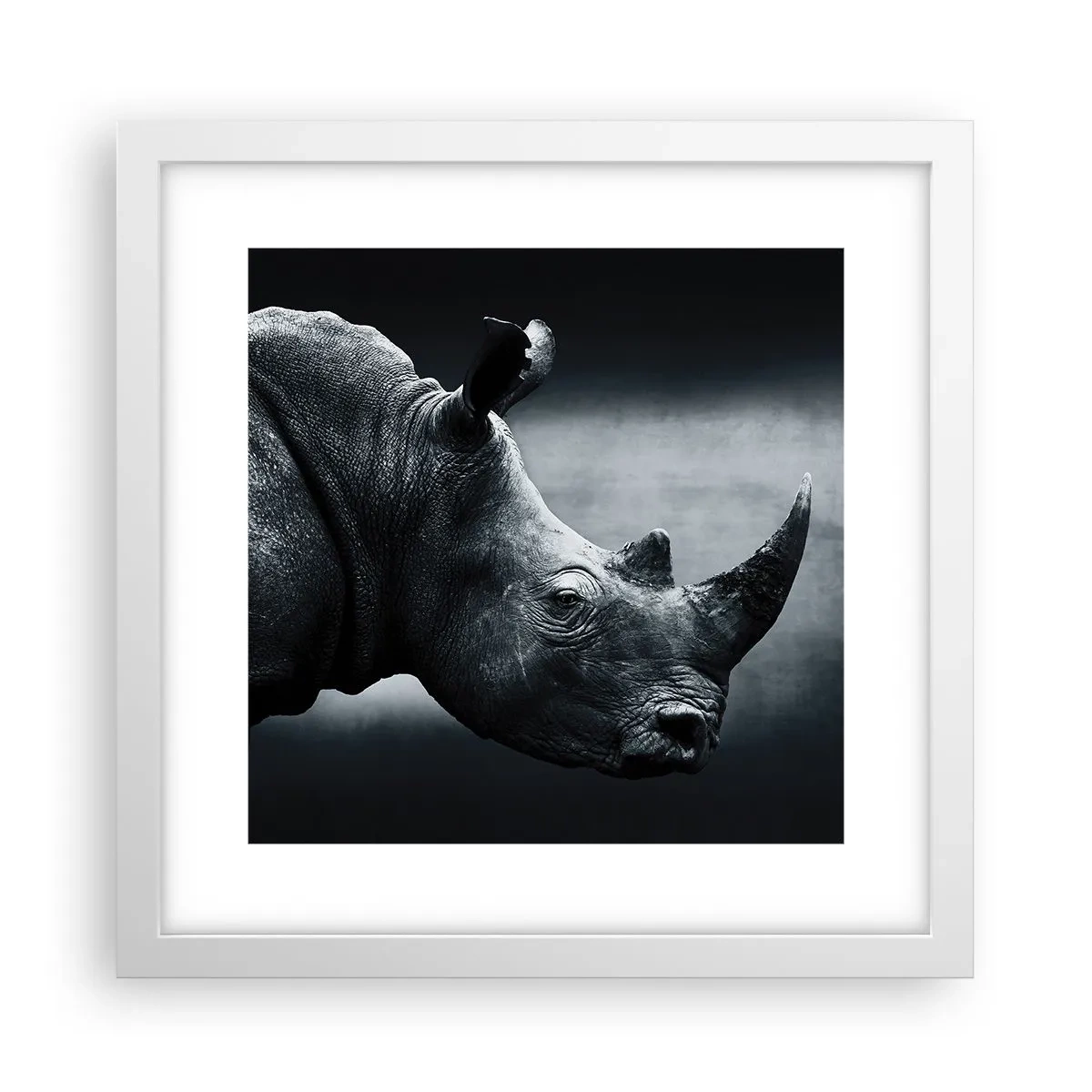 Affiche dans un cadre blanc - Poster - Le profil droit - 30x30 cm