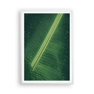 Affiche dans un cadre blanc - Poster - Structure de vert - 70x100 cm