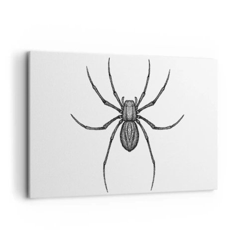 Impression sur toile - Image sur toile - Détail d'une araignée sur fond blanc dans un style dessin animé - 100x70cm - Une précision troublante - Décoration murale moderne pour le salon et la chambre ARTTOR