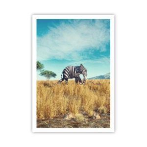 Affiche - Poster - Le gris n'est déjà plus à la mode - 70x100 cm