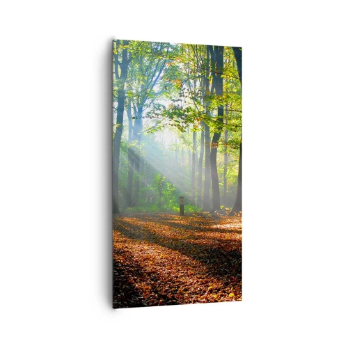 Impression sur toile - Image sur toile - Ombres et lumières - 65x120 cm