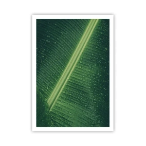 Affiche - Poster - Structure de vert - 70x100 cm