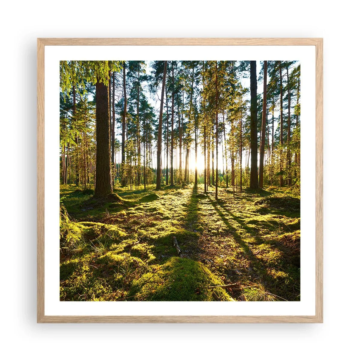 Affiche dans un chêne clair - Poster - … Derrière les sept forêts - 60x60 cm