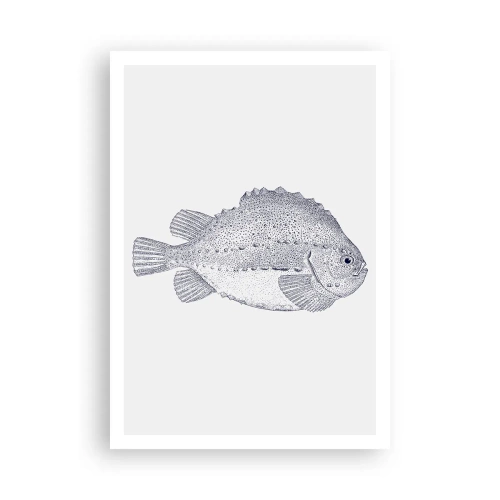 Affiche - Poster - Pour l'album du naturaliste - 70x100 cm