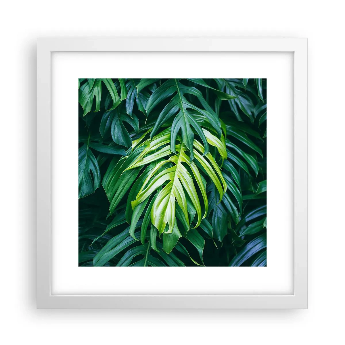 Affiche dans un cadre blanc - Poster - Immergez-vous dans la fraîcheur - 30x30 cm