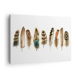Impression sur toile - Image sur toile - Motif décoratif d'une collection de plumes diverses - 70x50cm - Variation à plumes - Décoration murale moderne pour le salon et la chambre ARTTOR