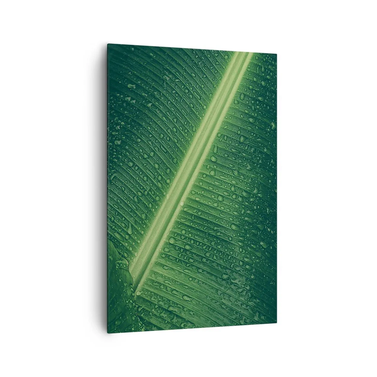 Impression sur toile - Image sur toile - Une feuille verte avec des gouttes d'eau à sa surface - 80x120cm - Structure de vert - Décoration murale moderne pour le salon et la chambre ARTTOR