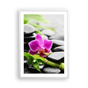 Affiche dans un cadre blanc - Poster - Dans un équilibre de calme - 50x70 cm