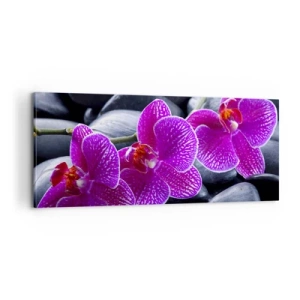 Impression sur toile - Image sur toile - Les pierres brillaient de joie - 100x40 cm