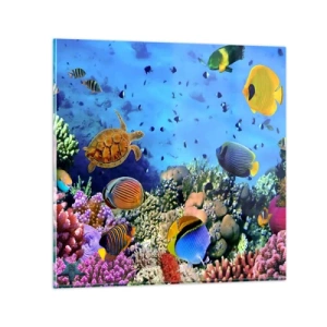 Impression sur verre - Image sur verre - Et que sait-on de la vie… - 30x30 cm