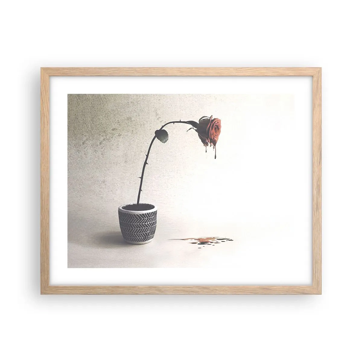 Affiche dans un chêne clair - Poster - Rosa dolorosa - 50x40 cm