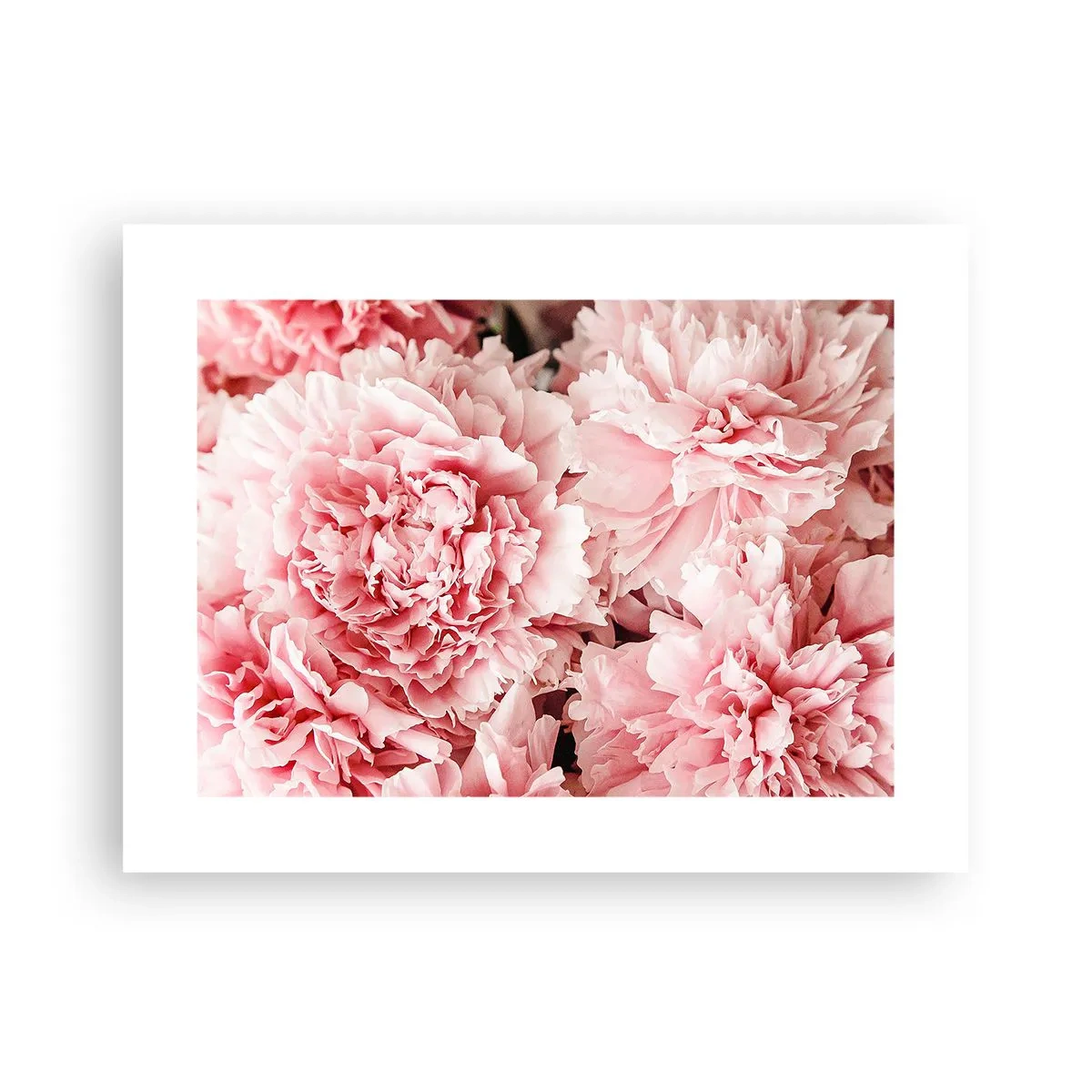 Affiche - Poster - Rêve rose - 40x30 cm