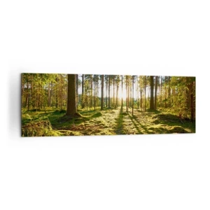 Impression sur toile - Image sur toile - Forêt verte illuminée par la lumière du soleil sur la mousse - 160x50cm - … Derrière les sept forêts - Décoration murale moderne pour le salon et la chambre ARTTOR