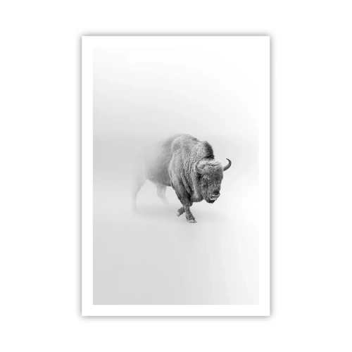 Affiche - Poster - Roi de la prairie - 61x91 cm