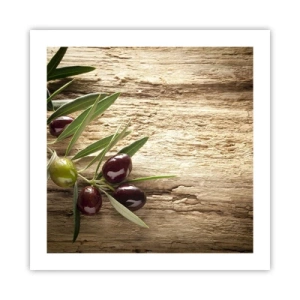 Affiche - Poster - Directement de la nature - 50x50 cm