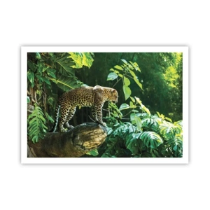 Affiche - Poster - Un léopard debout sur un rocher entouré de végétation tropicale - 100x70cm - À la chasse? - Décoration murale moderne pour le salon et la chambre ARTTOR