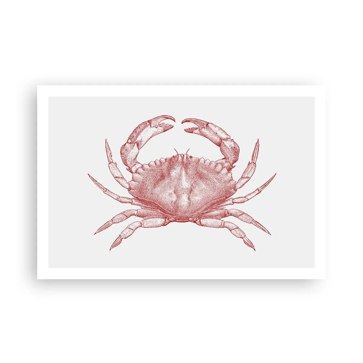 Affiche - Poster - Le crabe des crabes - 91x61 cm