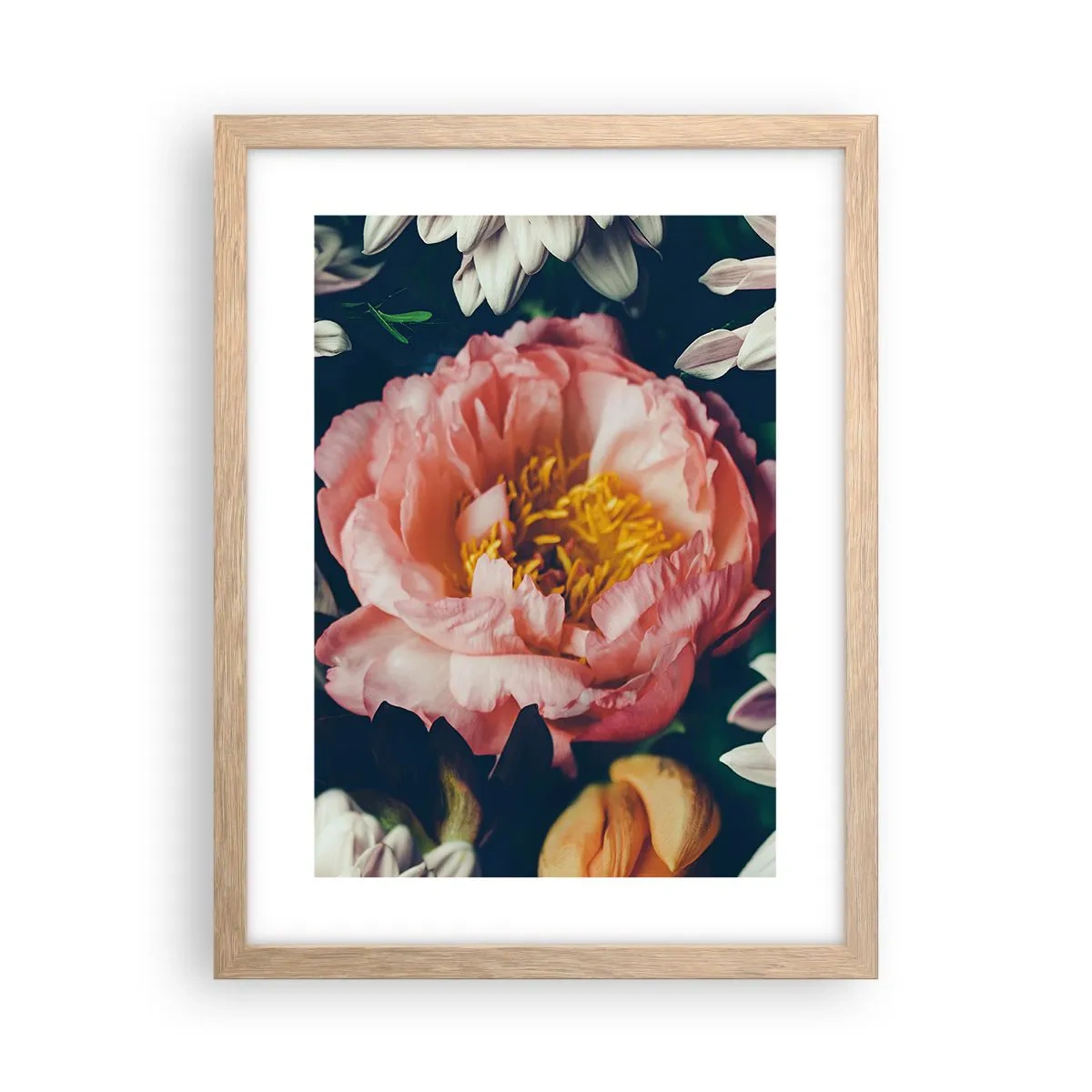 Affiche dans un chêne clair - Poster - Splendeur baroque - 30x40 cm