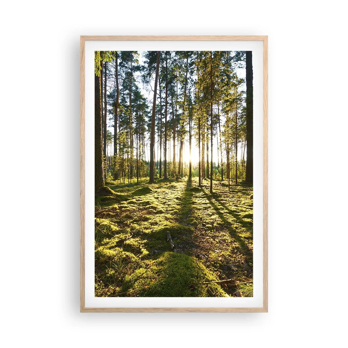Affiche dans un chêne clair - Poster - … Derrière les sept forêts - 61x91 cm