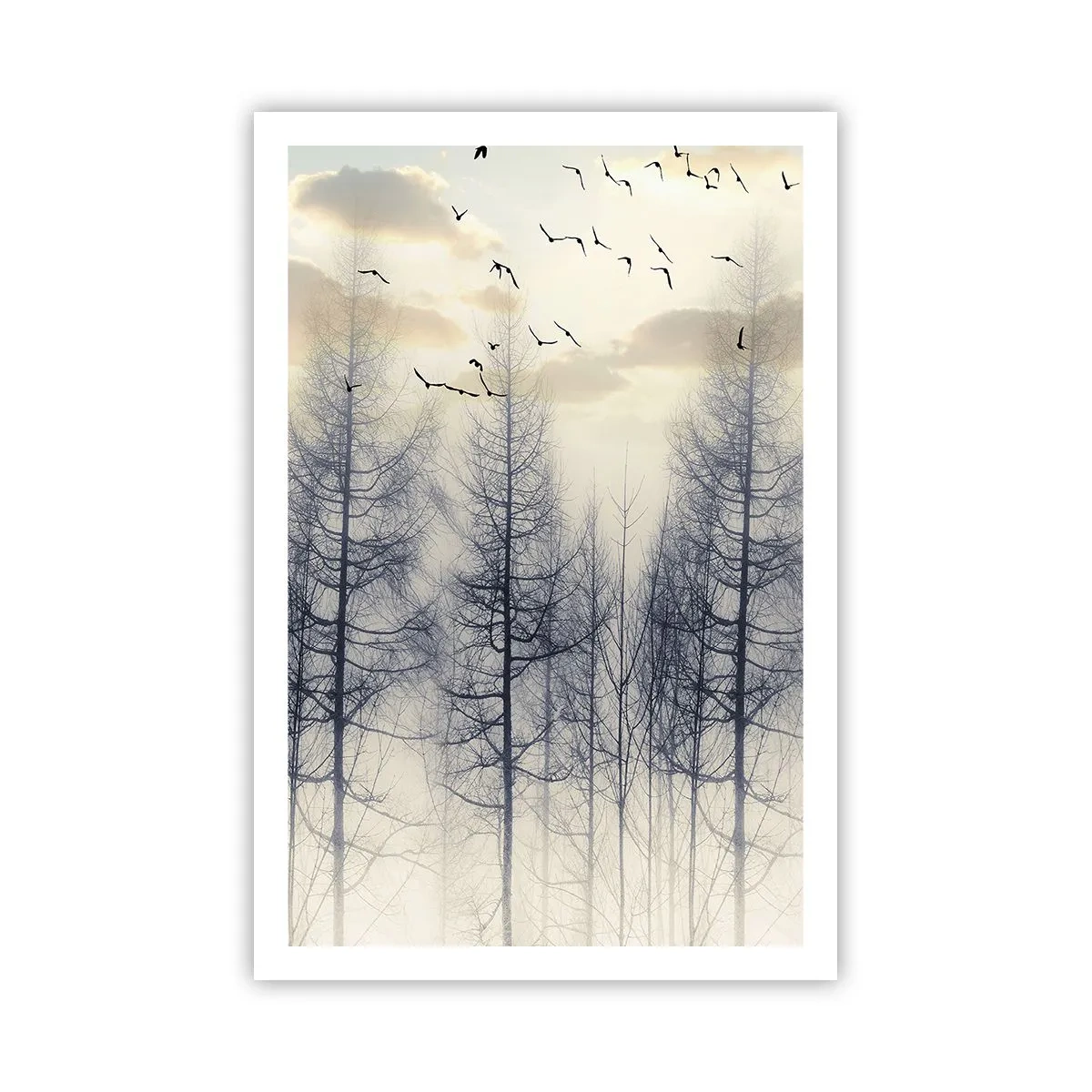 Affiche - Poster - L'âme de la forêt - 61x91 cm