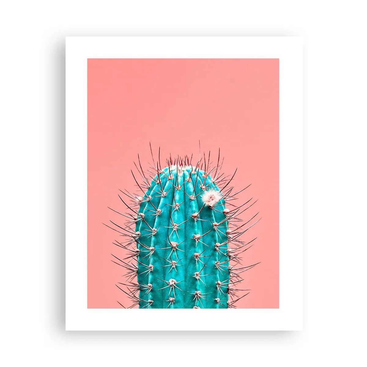 Affiche - Poster - Juste regarde - 40x50 cm