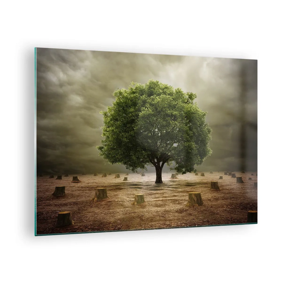 Impression sur verre - Image sur verre - Un arbre vert entouré de troncs contre un ciel sombre - 70x50cm - Tout l'espoir - Décoration murale moderne pour le salon et la chambre ARTTOR