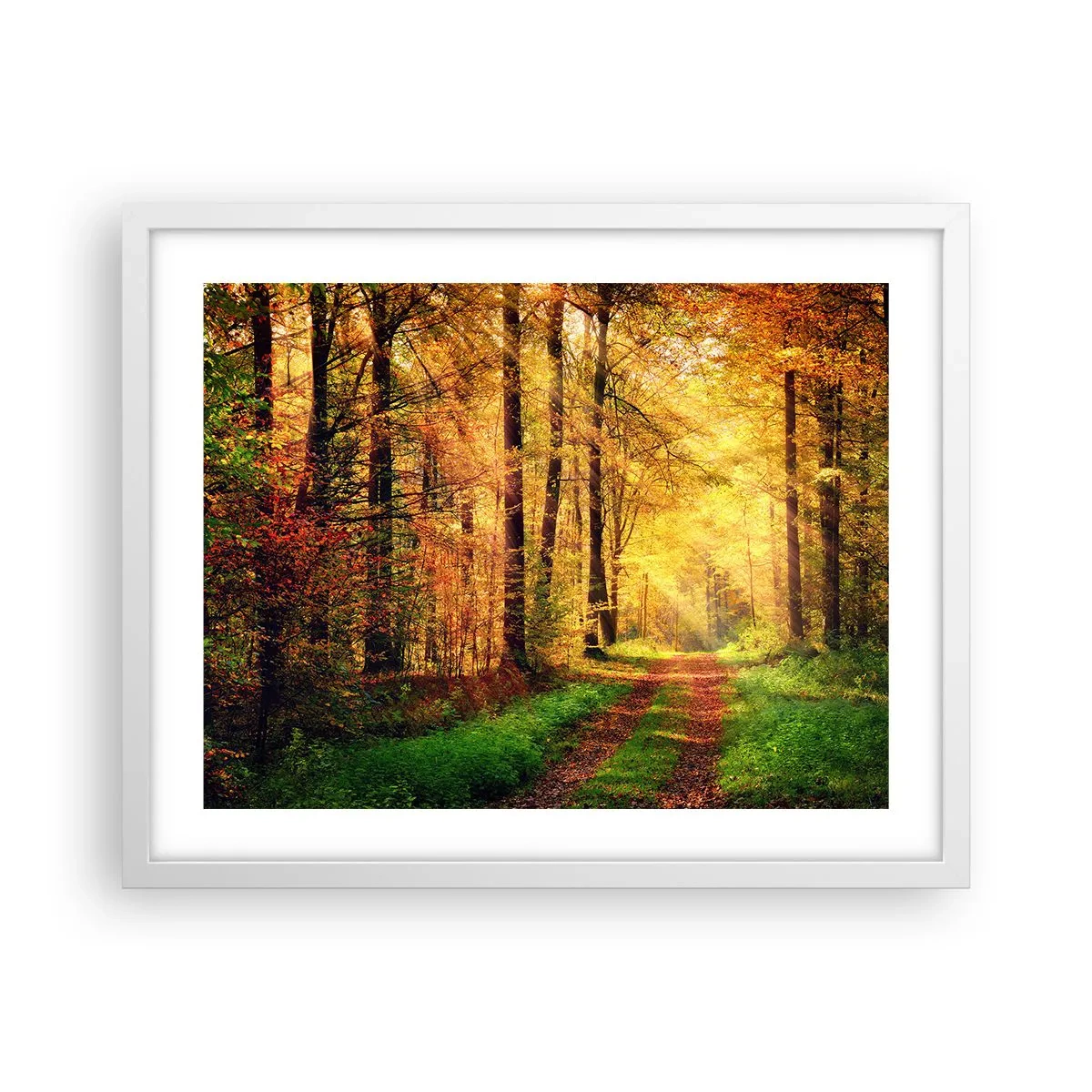 Affiche dans un cadre blanc - Poster - Silence d'or en forêt - 50x40 cm
