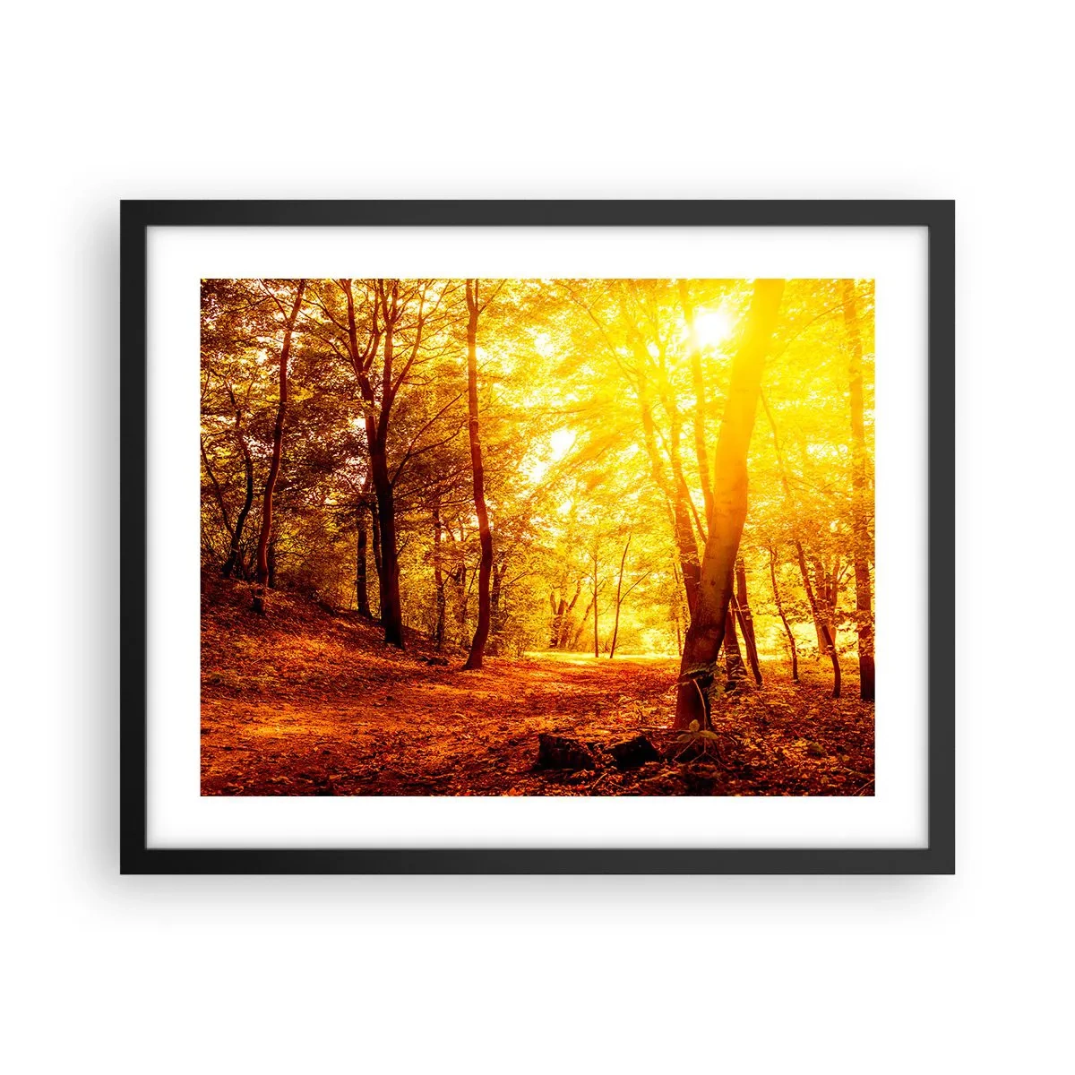 Affiche dans un cadre noir - Poster - Vers la clairière dorée - 50x40 cm