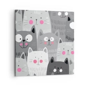Impression sur toile - Image sur toile - Le monde des chats - 50x50 cm