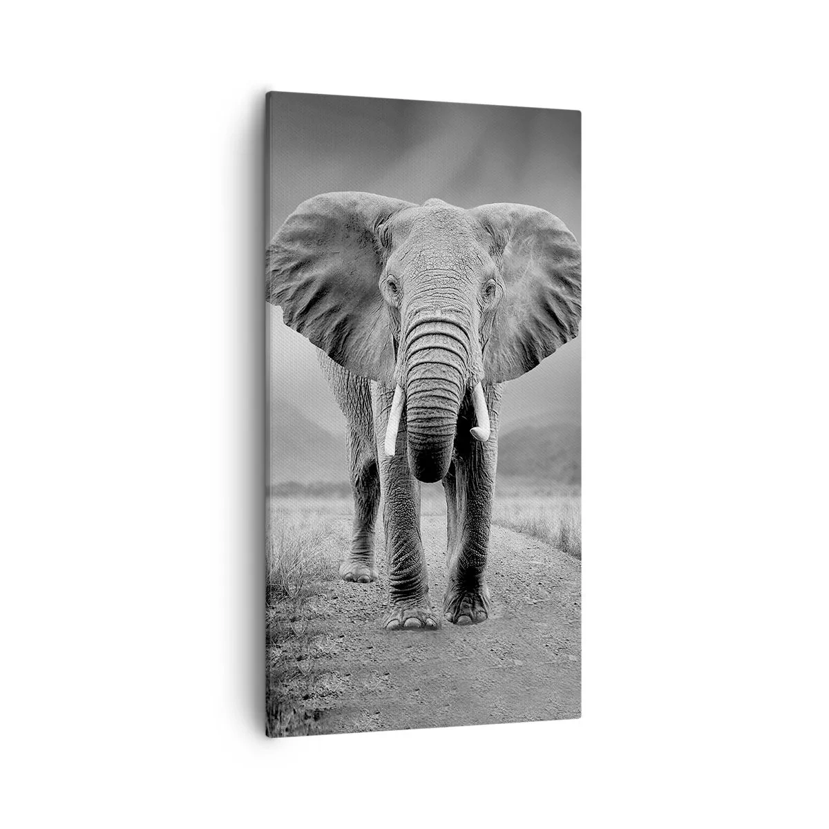 Impression sur toile - Image sur toile - Les hôtes vous saluent - 55x100 cm