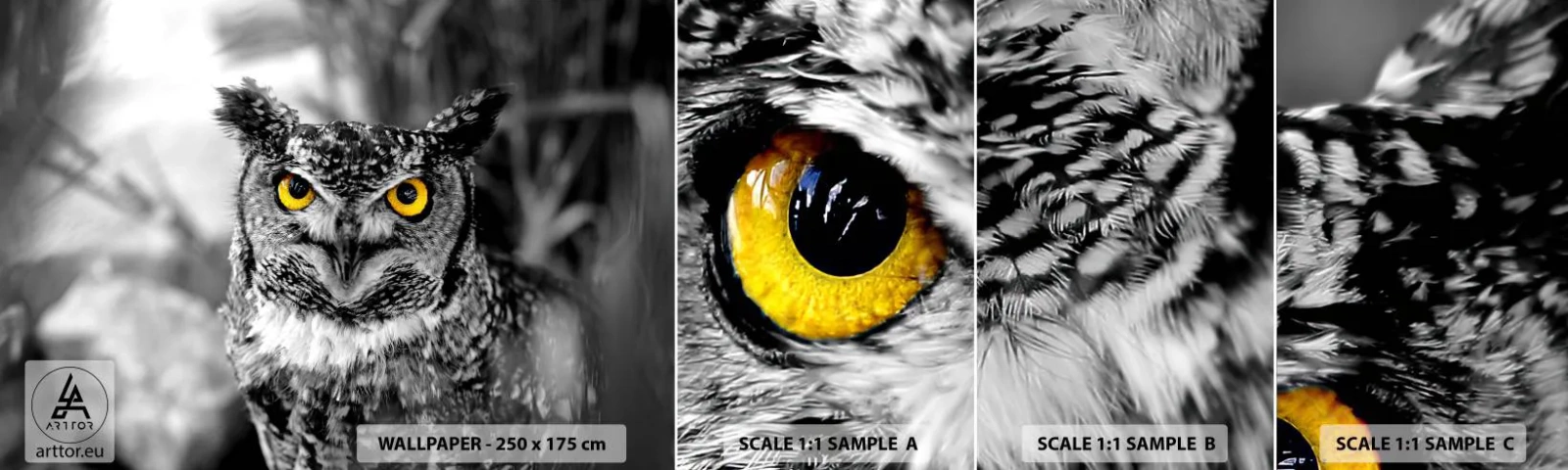 Échantillon De Papier Peint Standard Eco - Rien ne se cachera - Des oiseaux, Hibou, Nature - 100x30 cm