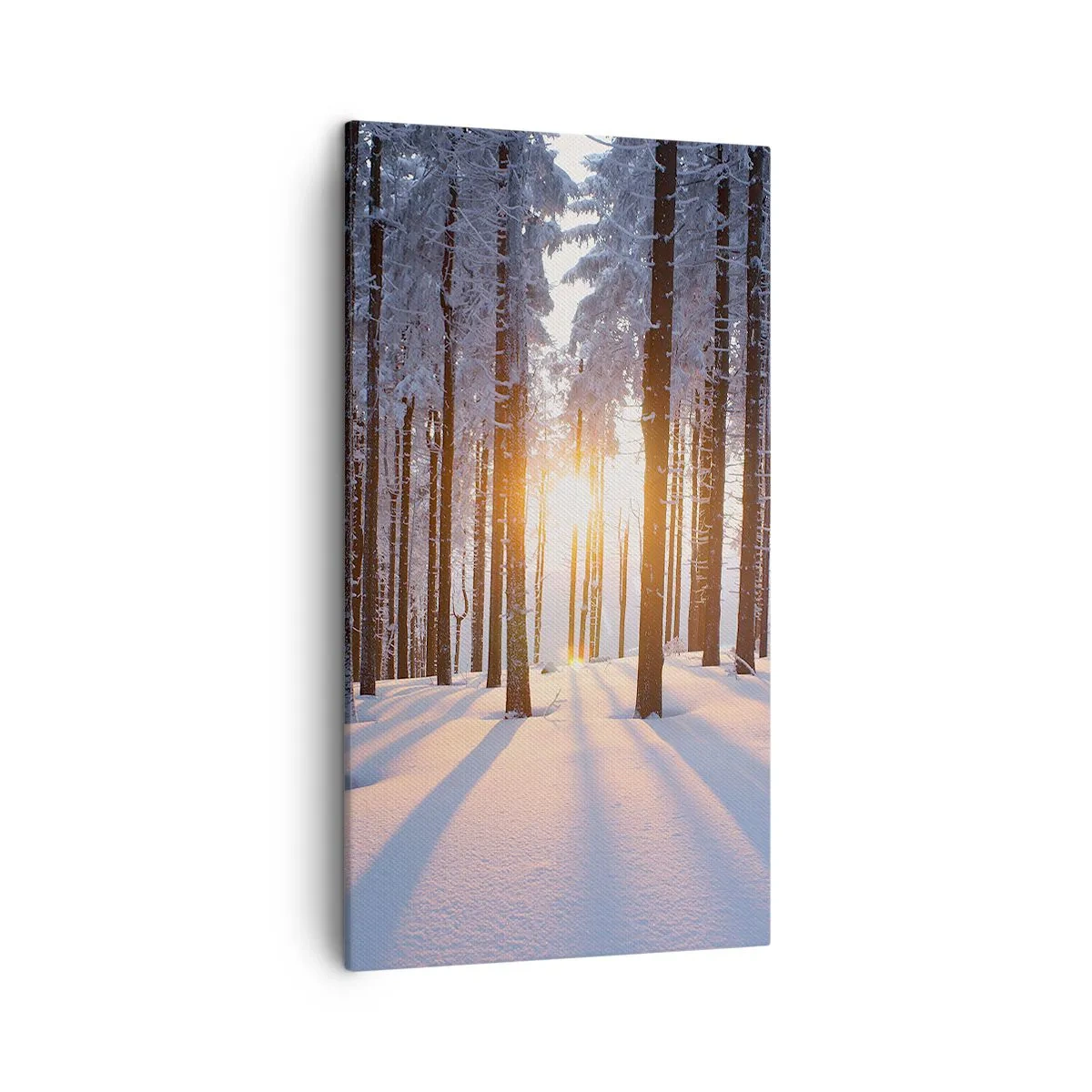 Impression sur toile - Image sur toile - Clairement en noir et blanc - 45x80 cm