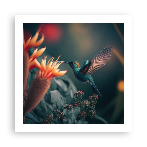 Affiche - Poster - une vie vraiment colorée - 50x50 cm