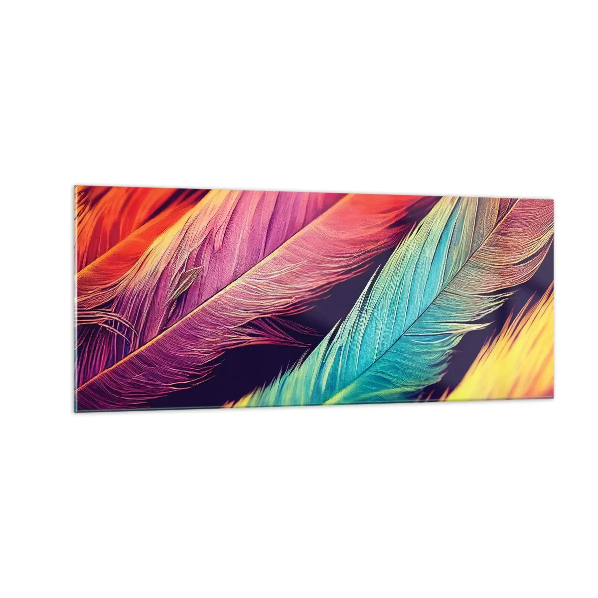 Impression sur verre - Image sur verre - Arc-en-ciel de plumes - 100x40 cm