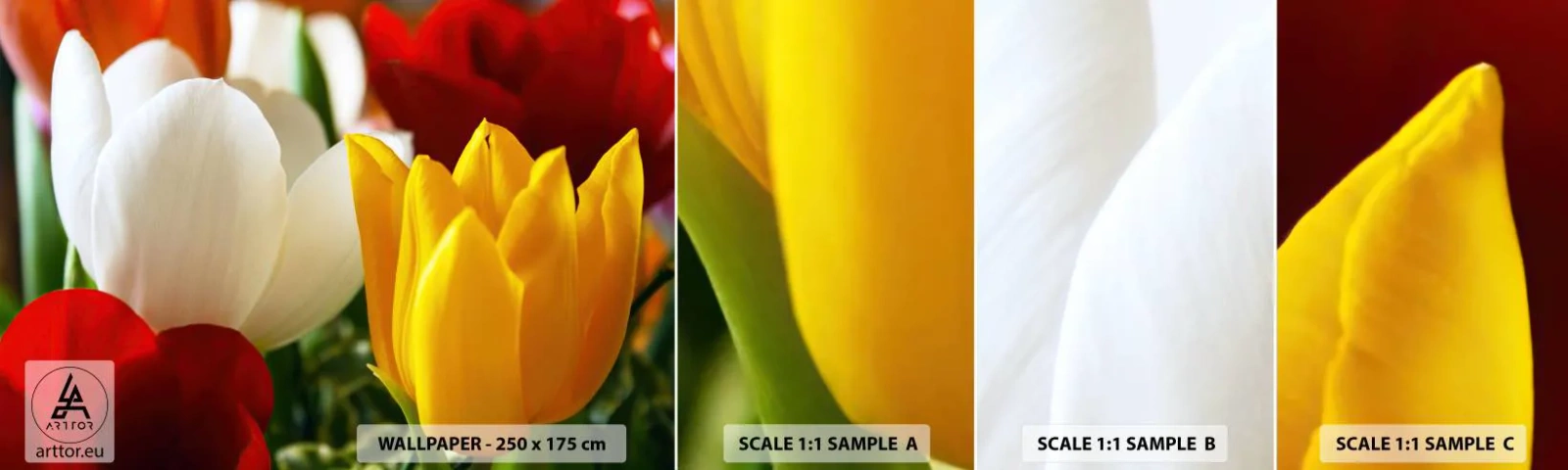 Échantillon De Papier Peint Standard Eco - La fièvre des tulipes - Fleurs, Tulipes, Bouquet de fleurs - 100x30 cm