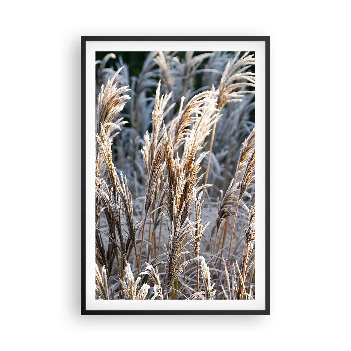 Affiche dans un cadre noir - Poster - Habillé de givre - 61x91 cm