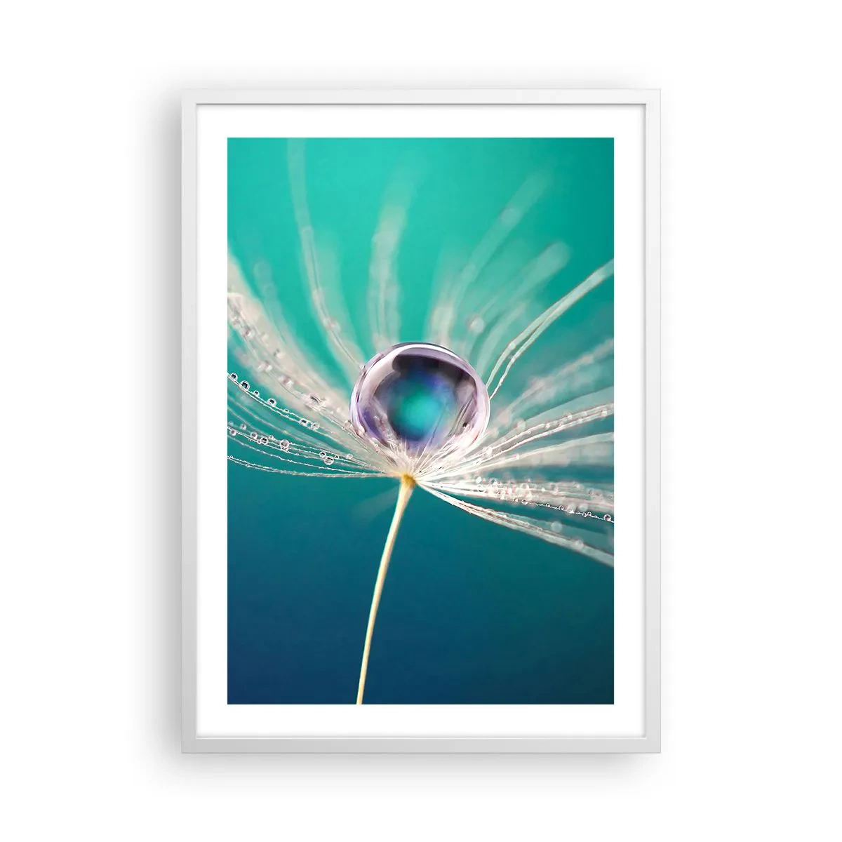 Affiche dans un cadre blanc - Poster - Moment mystique - 50x70 cm