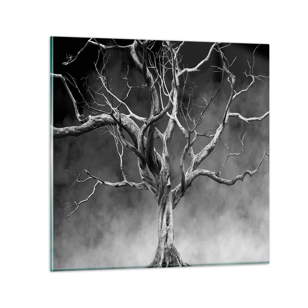 Impression sur verre - Image sur verre - Primordial et sacré - 60x60 cm