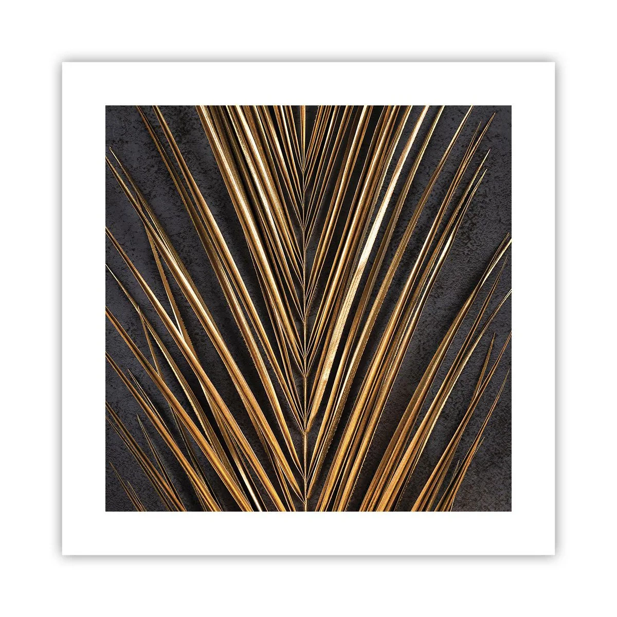 Affiche - Poster - L'or des tropiques - 40x40 cm