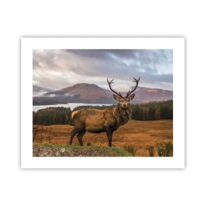 Affiche - Poster - Majesté de la nature - 50x40 cm