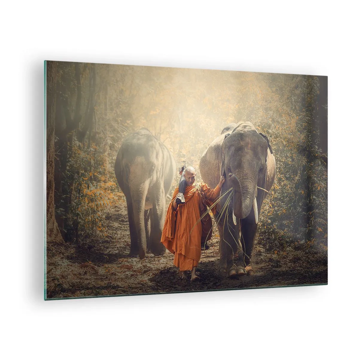 Impression sur verre - Image sur verre - Un moine avec deux éléphants dans un décor forestier - 70x50cm - Compréhension totale - Décoration murale moderne pour le salon et la chambre ARTTOR