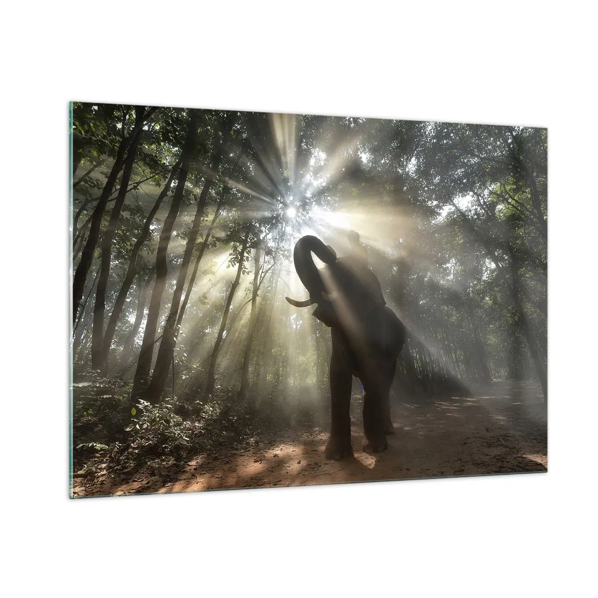 Impression sur verre - Image sur verre - Un éléphant dans une forêt éclairée par la lumière du soleil - 100x70cm - Sous la bonne étoile - Décoration murale moderne pour le salon et la chambre ARTTOR