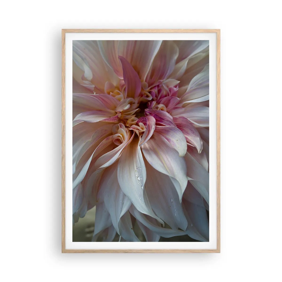 Affiche dans un chêne clair - Poster - Fraîcheur fleurissante - 70x100 cm