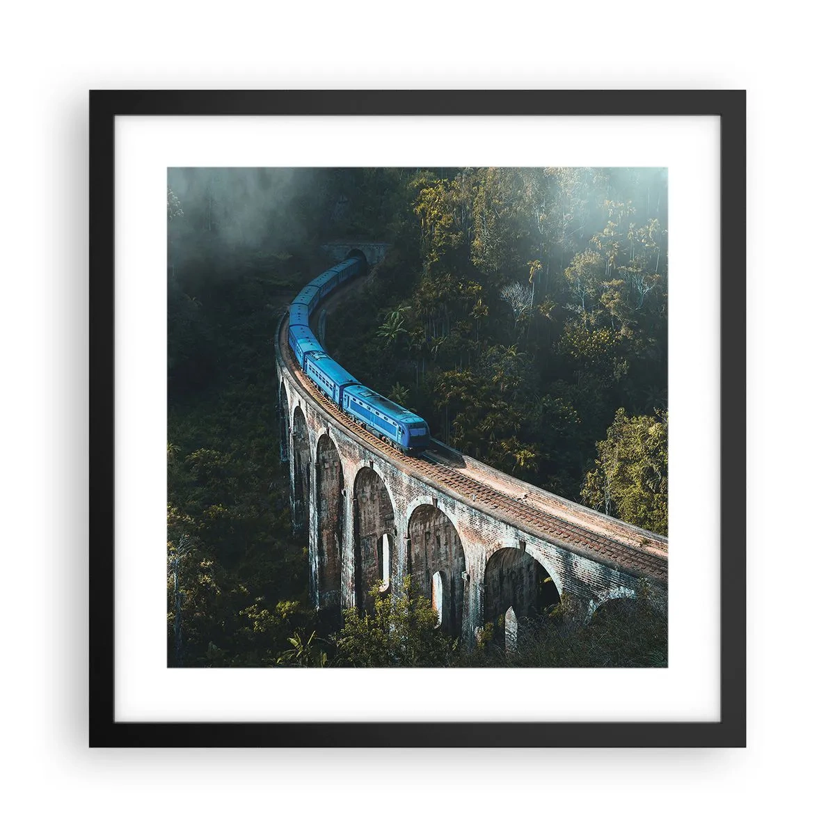 Affiche dans un cadre noir - Poster - Train nature - 40x40 cm