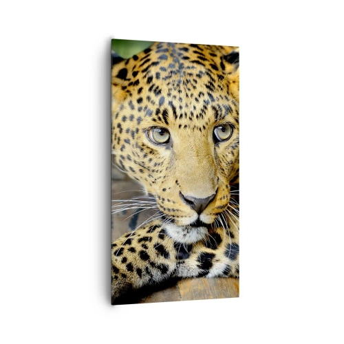 Impression sur toile - Image sur toile - N'aie pas peur, viens - 65x120 cm