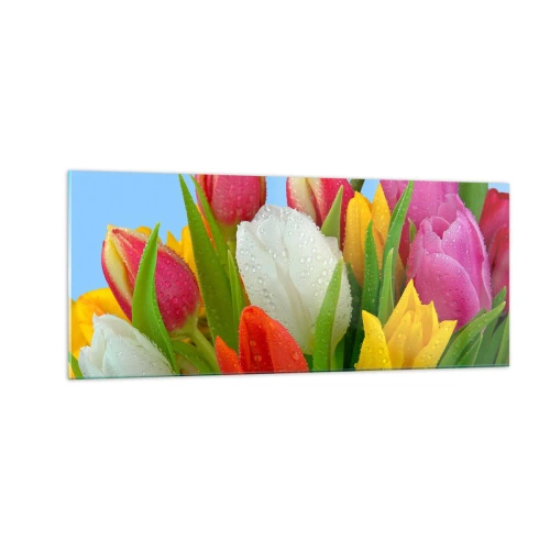 Impression sur verre - Image sur verre - Un arc-en-ciel fleuri en gouttes de rosée - 100x40 cm