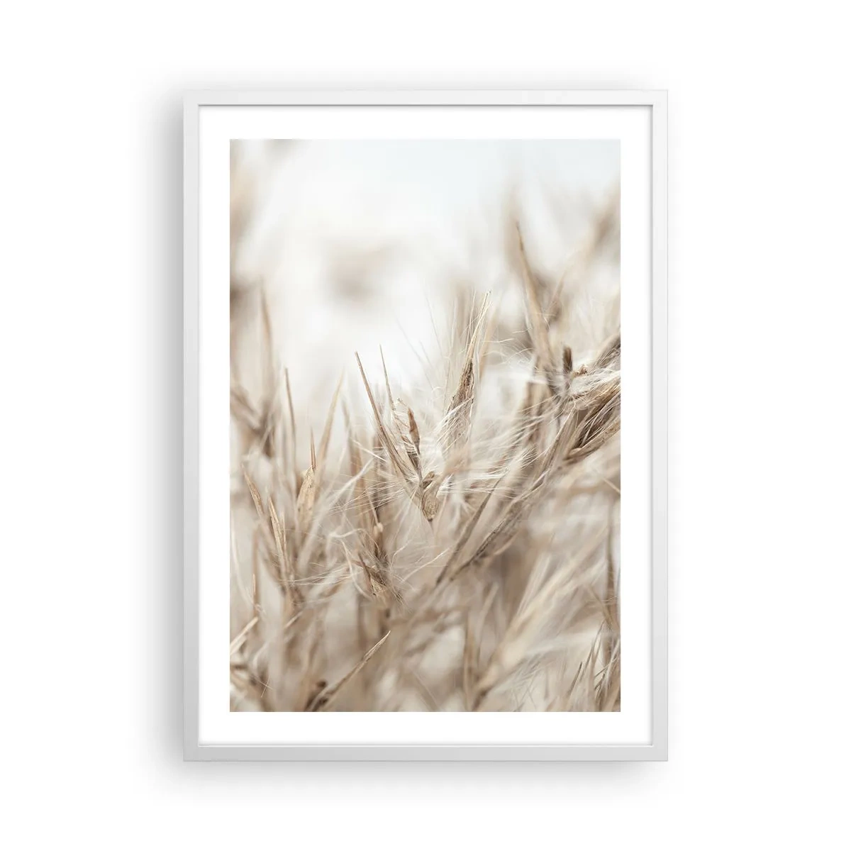 Affiche dans un cadre blanc - Poster - Prairie et vent - 50x70 cm